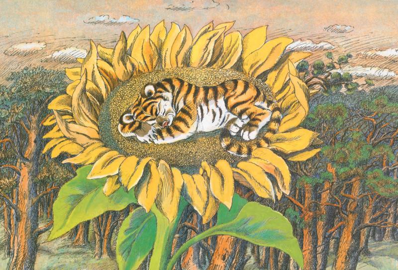 ������ ��� ������ ������